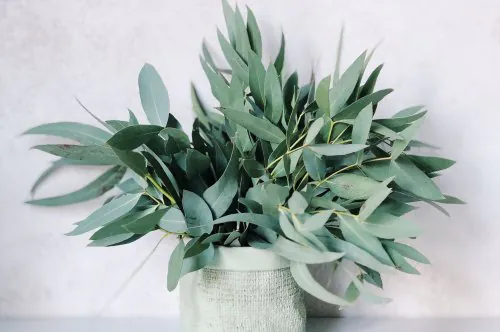 جميع المولدات على الإنترنت